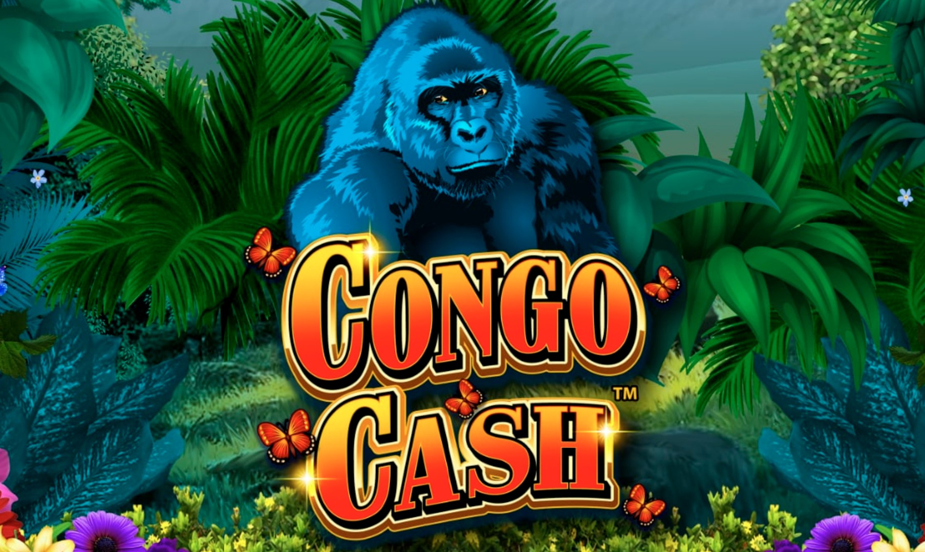 Congo Cash