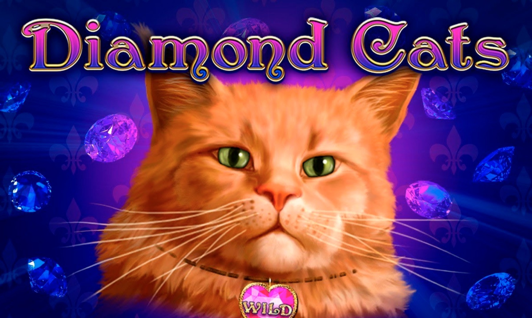 Diamond Cats