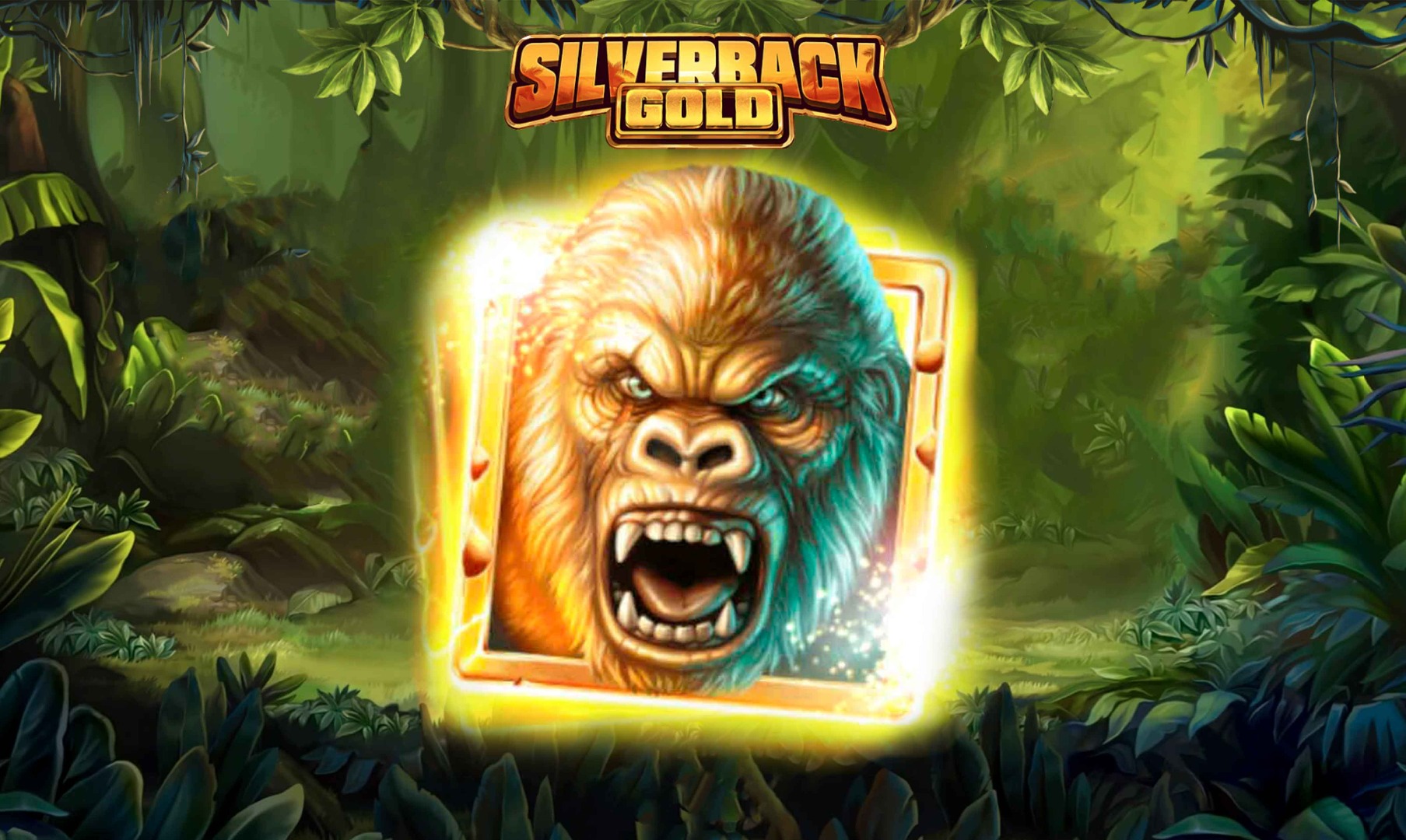 Silverback Gold