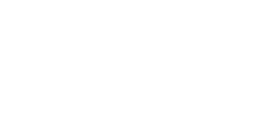 Компания Amatic