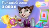 Турнир Cat Casino