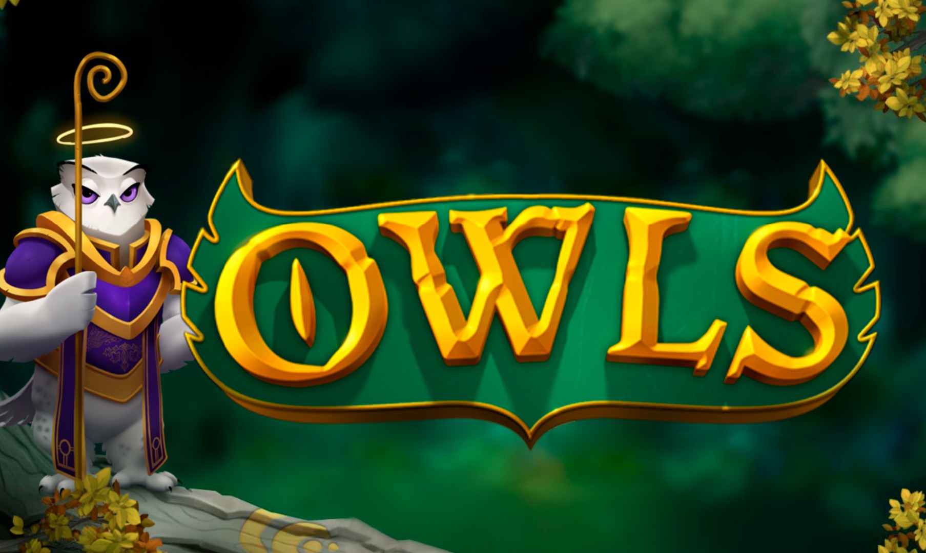 Owls