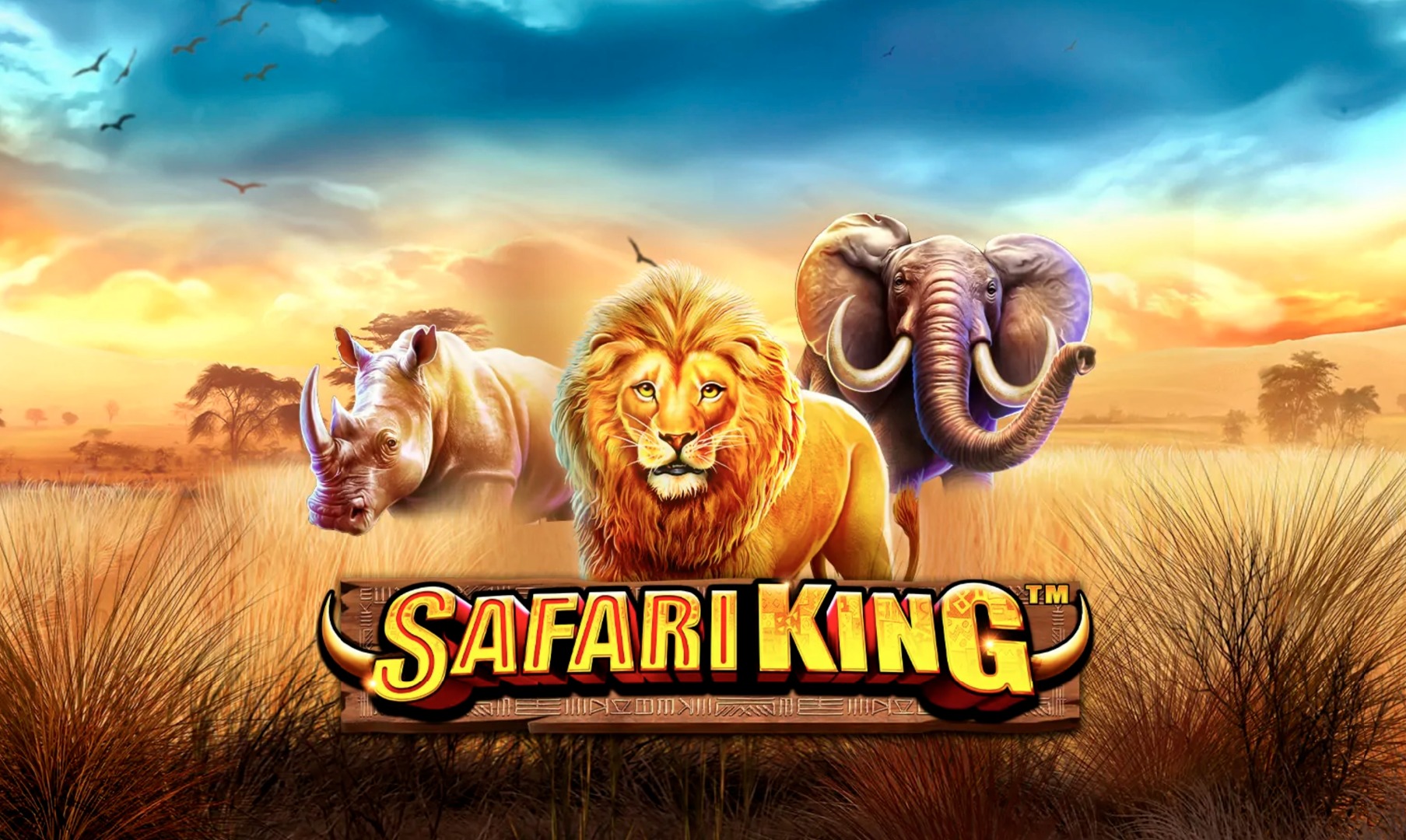 Safari King