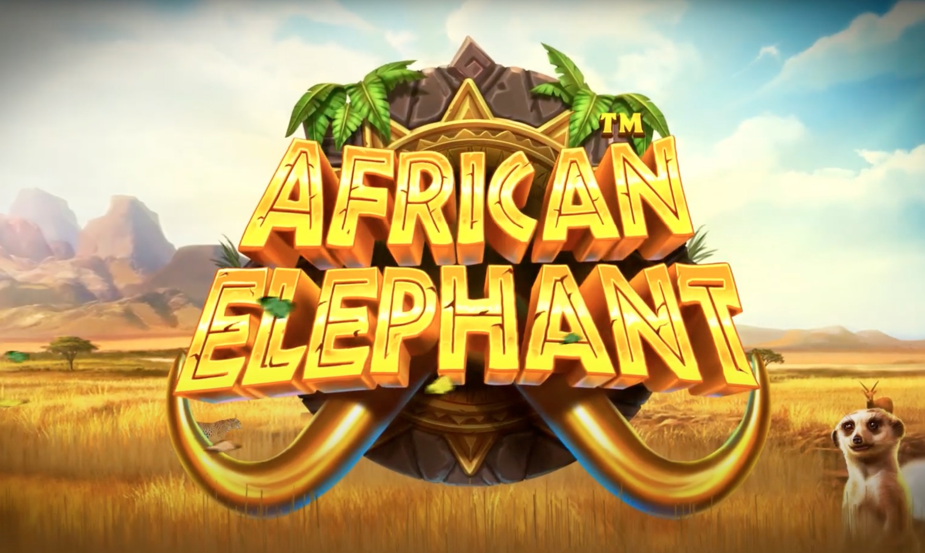 African Elephant