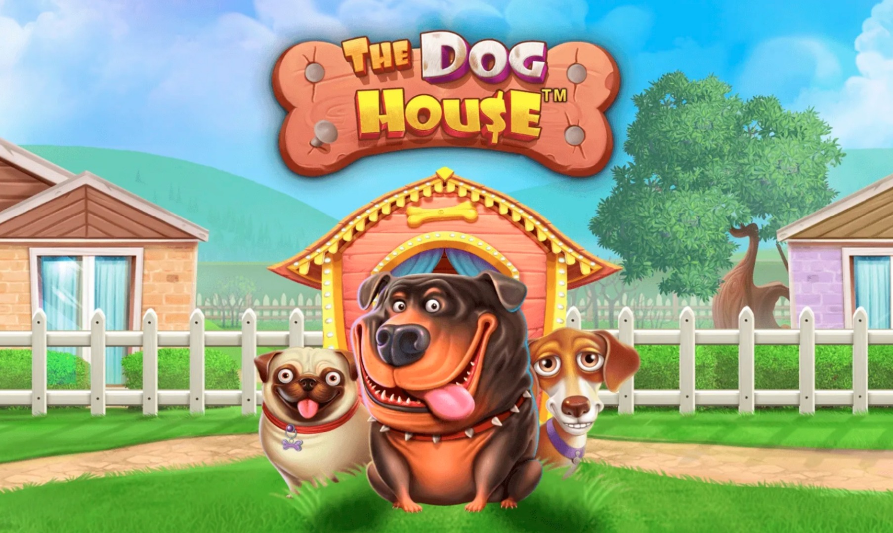 The Dog House