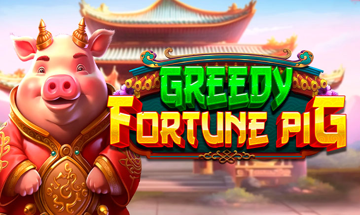 Greedy Fortune Pig