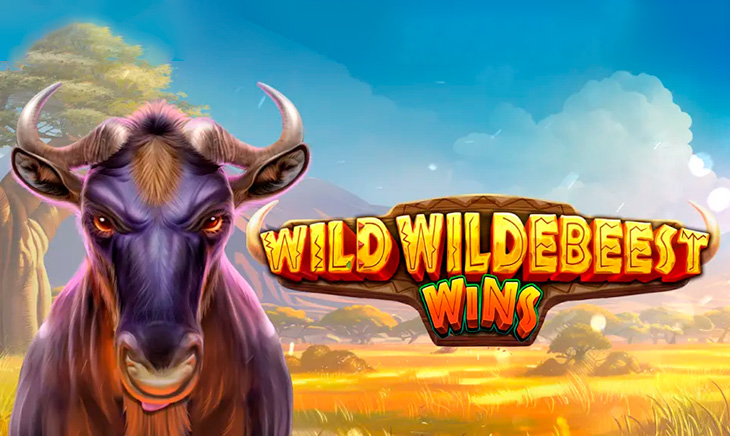 Wild Wildebeest Wins