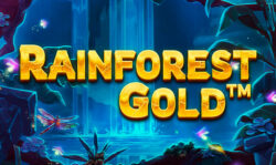 Rainforest Gold